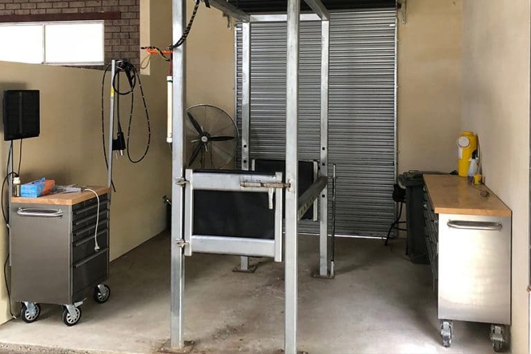 Perth Equine Hospital Horse Hospital Oldbury Equine Clinic