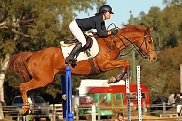 showjumping sophie amhat